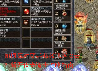 ���Ӧ�Ա������÷ɸ��������¿������ʿ����ָ��