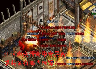 ����΢�䴫����ר���ϳ�װ������Щѡ��