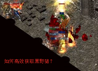 ��θ�Ч��ȡ��Ұ����