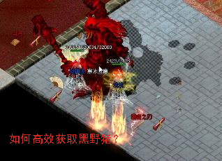 ��θ�Ч��ȡ��Ұ����