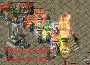 ������ú����������������ս��ʵ����