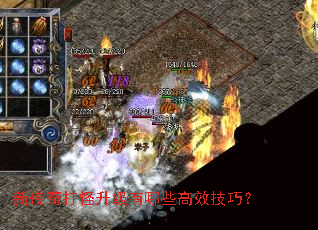 �´�������������Щ��Ч���ɣ�