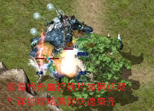 ��ħ����Ѫ����Ƭ��λ�ȡ����ϸ����������ټ���