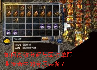 如何高效分解与回收单职业传奇中的专属装备? 如何高效分解与回收单职业传奇中的专属装备?