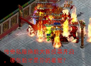 ����˽����������ͶƱ����������������������