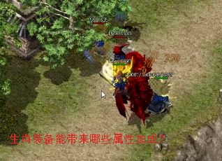 生肖装备能带来哪些属性加成? 生肖装备能带来哪些属性加成?