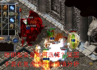 ������װ�����ѡ�񣿼�������ڸ��Ŵ����м�ֵ����