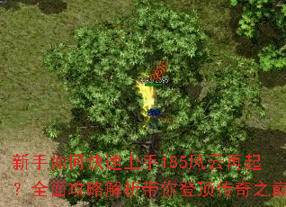 ������ο�������185��������ȫ�湥�Խ�������Ƕ�����֮��