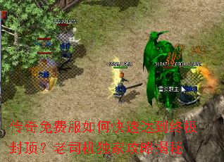 ������ѷ���ο��ٴﵽ�ռ��ⶥ����˾�����ҹ��Խ���