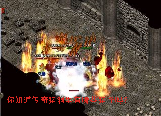 ��֪����������������Щ������