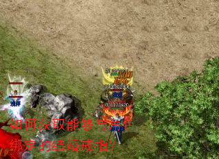 ��λ�ȡ�ܹ����ɫ�󶨵Ľ���ָ��