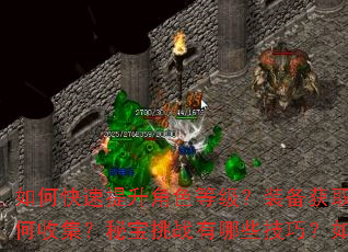 ��ο���������ɫ�ȼ���װ����ȡ;������Щ��Զ��������������ռ����ر���ս����Щ���ɣ���θ�Ч�����ռ�Boss��