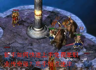 ������ο���������ѵ�ְҵ�����������ָ���Խ�