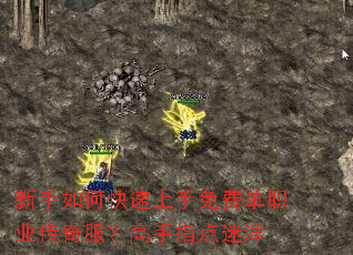 ������ο���������ѵ�ְҵ�����������ָ���Խ�