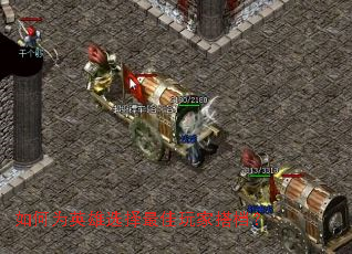 ���ΪӢ��ѡ�������Ҵ��