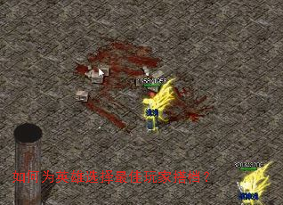 ���ΪӢ��ѡ�������Ҵ��