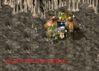 ����ڴ���˽���п���׬Ǯ��