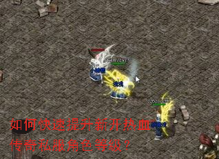 ��ο��������¿���Ѫ����˽����ɫ�ȼ���