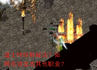 ��ʿPK��ʤ�ؾ�����θ�Ч��������ְҵ��