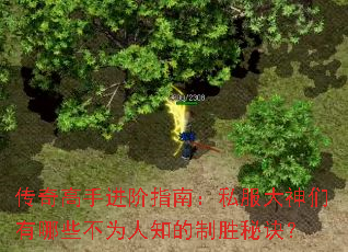 ������ֽ���ָ�ϣ�˽������������Щ��Ϊ��֪����ʤ�ؾ���