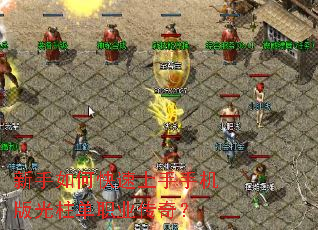 ������ο��������ֻ��������ְҵ���棿