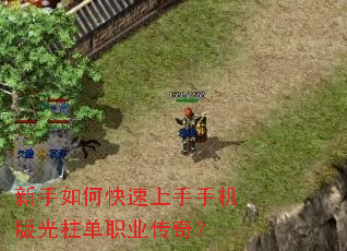 ������ο��������ֻ��������ְҵ���棿