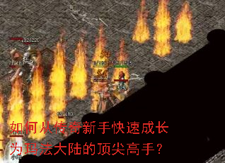 ��δӴ������ֿ��ٳɳ�Ϊ�귨��½�Ķ�����֣�