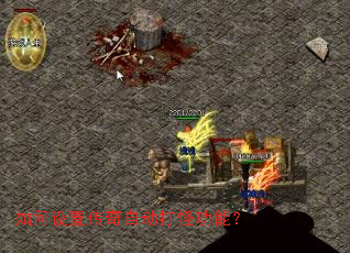 ������ô����Զ���ֹ��ܣ�