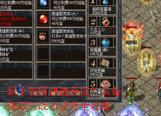 ������ο���������װ����ȡ��ս������ȫ����