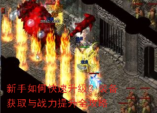 ������ο���������װ����ȡ��ս������ȫ����