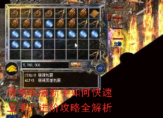 ����˽��������ο������֣����׹���ȫ����