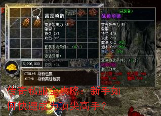 ����˽��ȫ���ԣ�������ο��ٳ�Ϊ������֣�