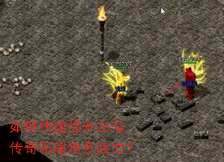 ��ο�������26�Ŵ���˽����ɫս����