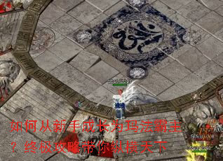 ��δ����ֳɳ�Ϊ�귨�������ռ����Դ����ݺ�����