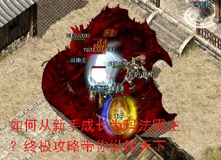 ��δ����ֳɳ�Ϊ�귨�������ռ����Դ����ݺ�����