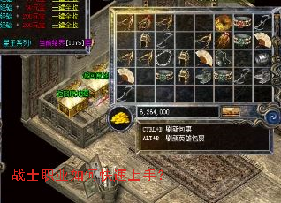 战士职业如何快速上手? 战士职业如何快速上手?