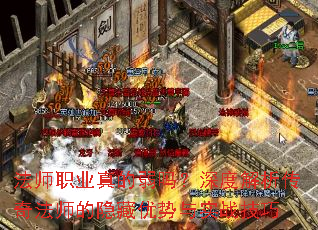 ��ʦְҵ���������Ƚ������淨ʦ������������ʵս����