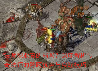 ��ʦְҵ���������Ƚ������淨ʦ������������ʵս����