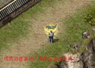 ������Ϸ���������޷�������