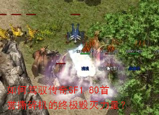 ��μ�Ԧ����SF1.80����˺������ռ�����������