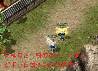 ���񸴹Ŵ����̬�棺��δ�����С���ɱ�Ϊɳ��������