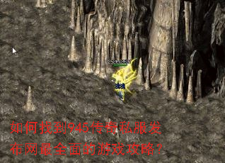 如何找到945传奇私服发布网最全面的游戏攻略? 如何找到945传奇私服发布网最全面的游戏攻略?