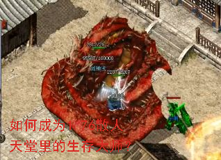 ��γ�Ϊ1.76ɢ��������������ʦ��