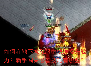 ����ڵ��³�˽���п�������ս�������ִ��رر���������Щ��