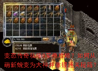 ��̬����˽��3�����ԣ���δ������ɱ�Ϊ��������ͨ���ؼ���