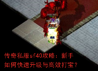 ����˽��sf40���ԣ�������ο����������Ч�򱦣�