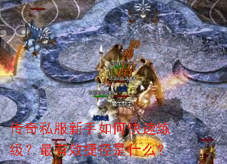 ����˽��������ο�������������Ч�ݾ���ʲô��