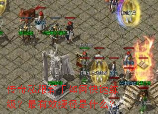 ����˽��������ο�������������Ч�ݾ���ʲô��