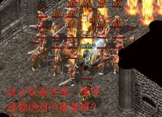 սʿ���ע�⣺��Щ������Բ��ܵ�����