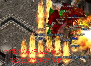 ��γ�Ϊɳ�Ϳ˵İ������귨����ȫ���Խ���